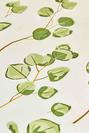  %100 Pamuk Ranforce Ocaliptus Çift Kişilik Nevresim Yeşil (200x220 cm)